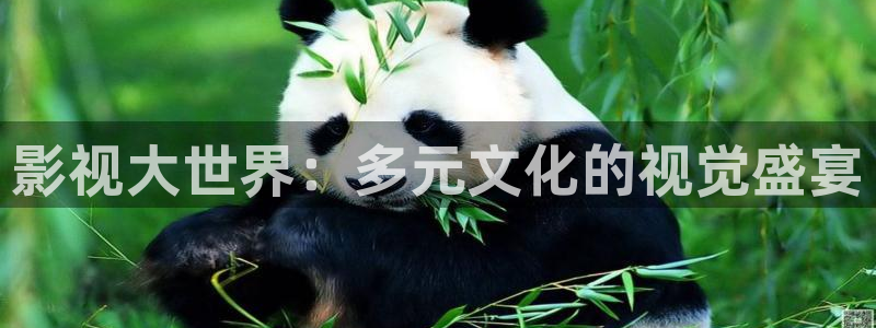 超碰在线成人免费：影视大世界：多元文化的视觉盛宴