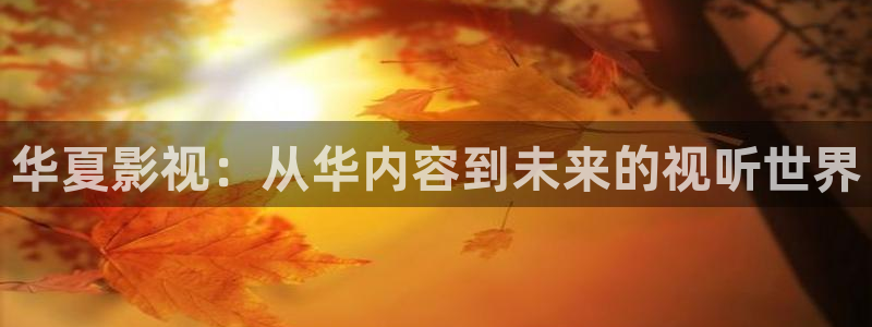 在线公开超碰：华夏影视：从华内容到未来的视听世界