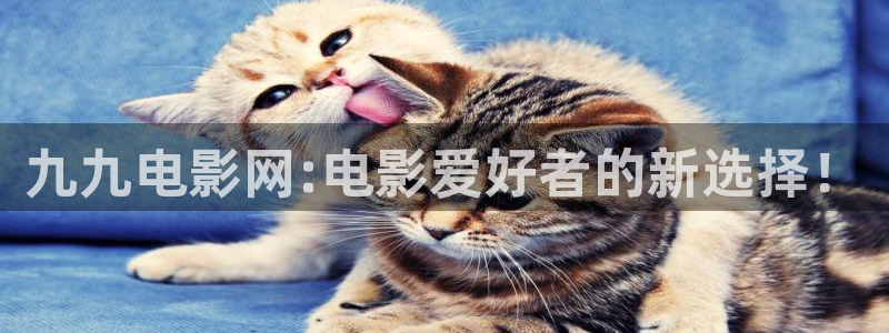 超碰在色：九九电影网:电影爱好者的新选择！