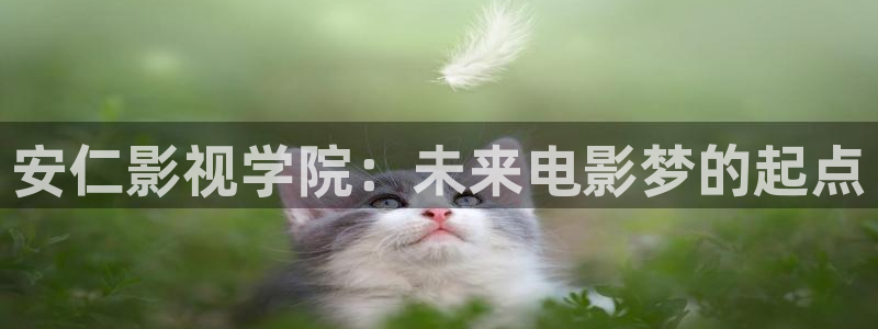 caoporn超碰最新地址：安仁影视学院：未来电影梦的起点