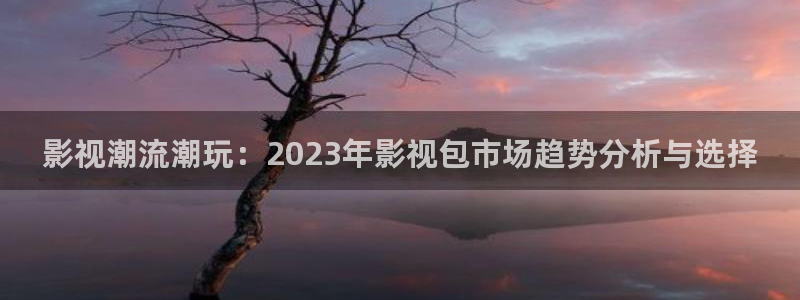 超碰在线之色人格：影视潮流潮玩：2023年影视包市场趋势分析与选择