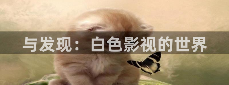 超碰超碰中文字幕：与发现：白色影视的世界
