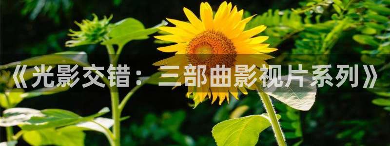 超碰在线热：《光影交错：三部曲影视片系列》