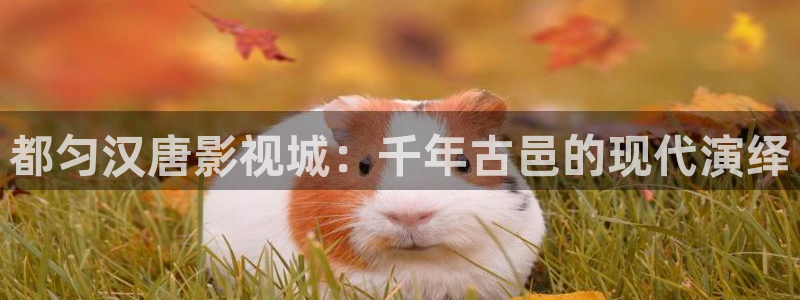 超碰91在线资源：都匀汉唐影视城：千年古邑的现代演绎