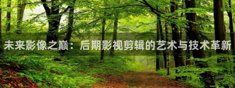 超碰人与动物：未来影像之巅：后期影视剪辑的艺术与技术革新